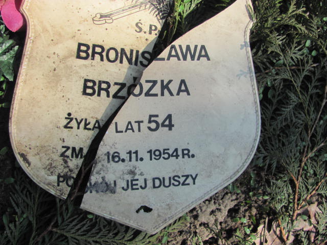 Bronisława Brzózka 1901 Jasienica - Grobonet - Wyszukiwarka osób pochowanych