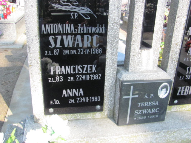 Antonina Szwarc 1899 Jasienica - Grobonet - Wyszukiwarka osób pochowanych