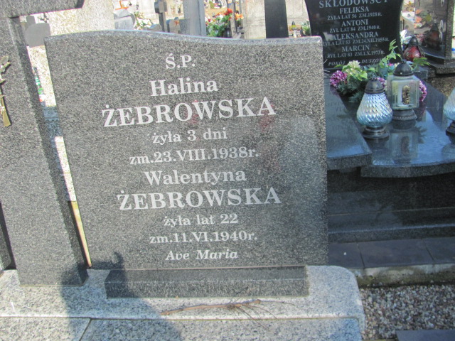 Franciszek Donat Żebrowski 1861 Jasienica - Grobonet - Wyszukiwarka osób pochowanych