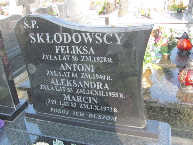 Aleksandra Skłodowska 1902 Jasienica - Grobonet - Wyszukiwarka osób pochowanych