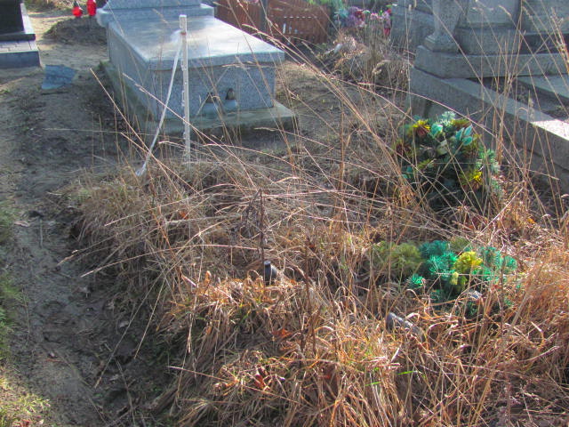 Zofia Han 1938 Jasienica - Grobonet - Wyszukiwarka osób pochowanych